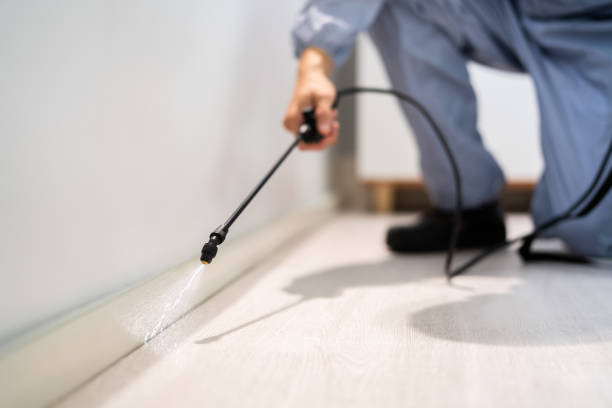 Rodent Entry Point Assessment in San Marcos