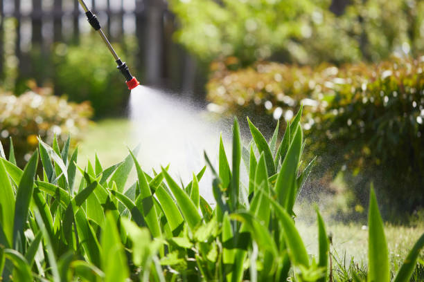 Tamper-Resistant Bait Stations for Rodents in San Marcos