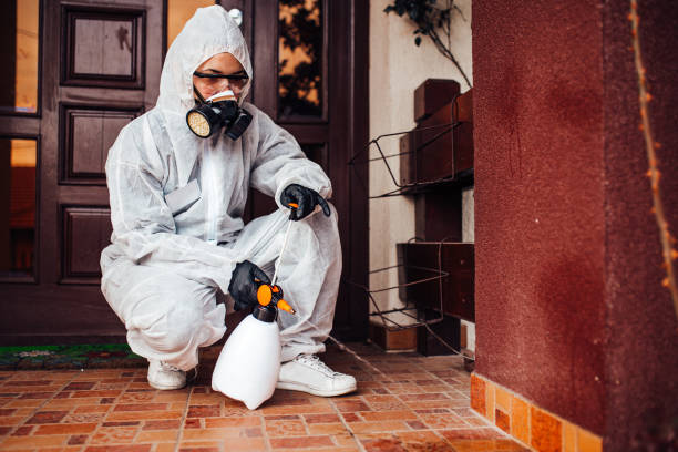 Attic and Crawl Space Rodent Treatment in San Marcos